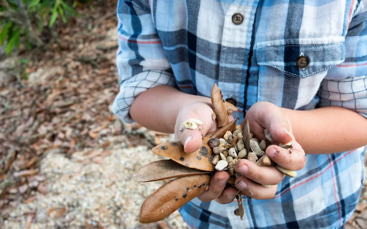 A child holding a handful of rocks and leaves.